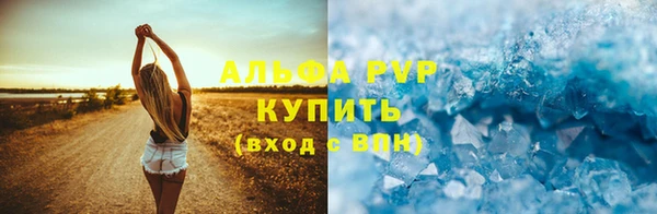 прущие грибы Михайловск