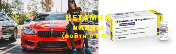 прущие грибы Михайловск
