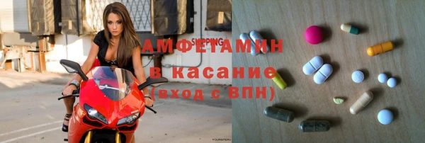 прущие грибы Михайловск
