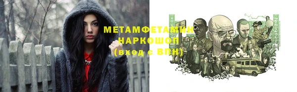 прущие грибы Михайловск