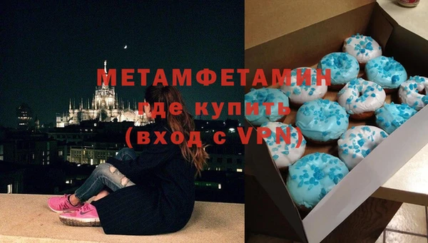 прущие грибы Михайловск