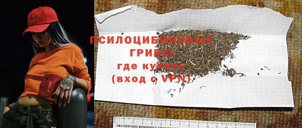 прущие грибы Михайловск