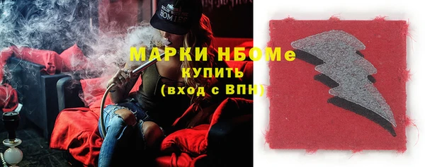 прущие грибы Михайловск