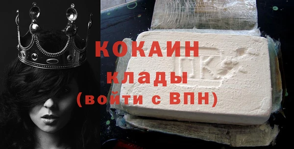 прущие грибы Михайловск