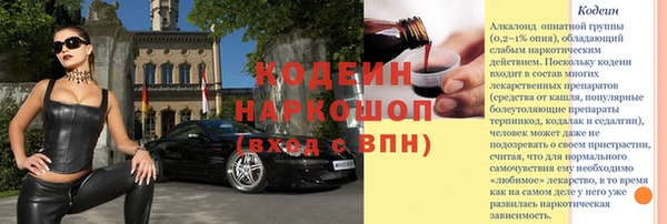 прущие грибы Михайловск