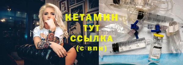 прущие грибы Михайловск