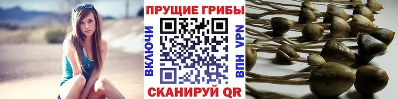Псилоцибиновые грибы Magic Shrooms  Новый Оскол 